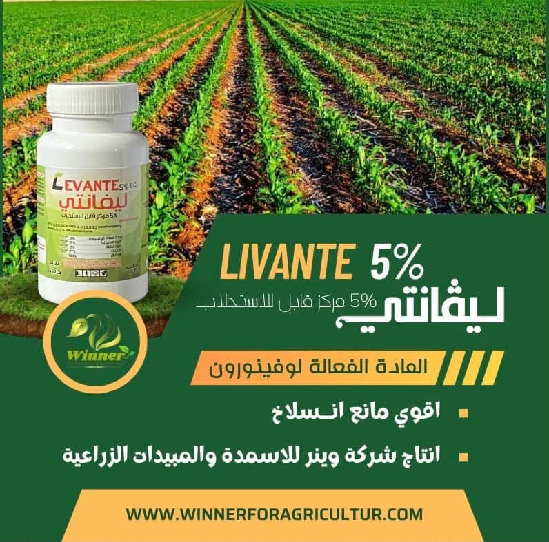 LIVANTE 5%