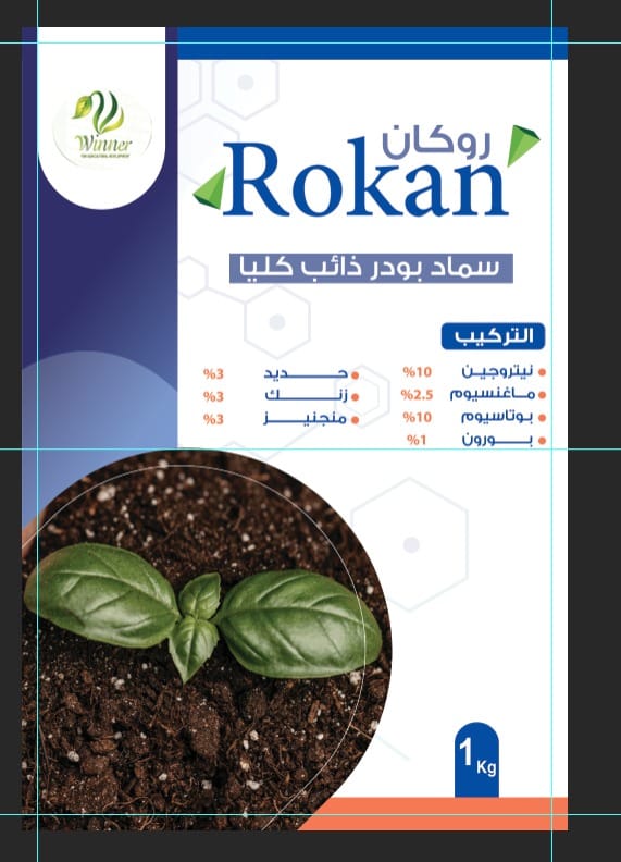 Rokan